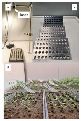 Laser weed seed control: challenges and opportunities